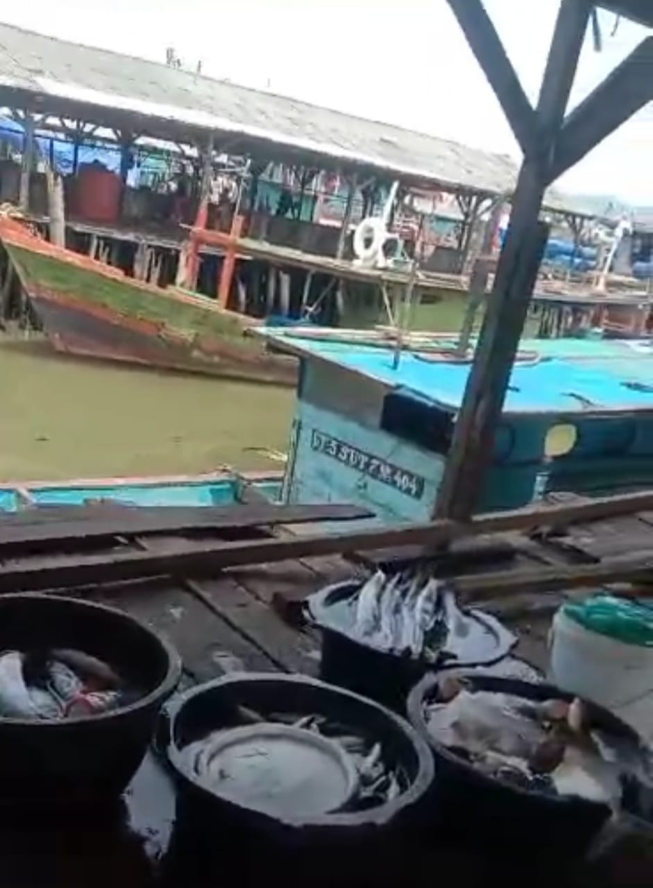 Ikan yang diduga hasil tangkapan menggunakan bom peledak. (Ist /MTUNews)