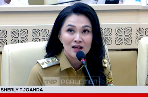 Foto: Gubernur Maluku Utara Sherly Tjoanda menyampaikan pandangannya dalam rapat kerja di DPR RI. (Tangkapan layar YouTube DPR)